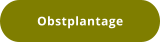 Obstplantage
